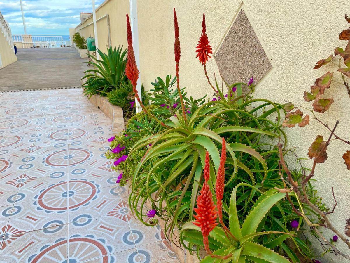 Royal Beach House Vista Mar La Mata  Eksteriør billede